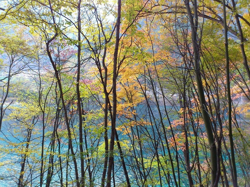 Jiuzhaigou Valley, China